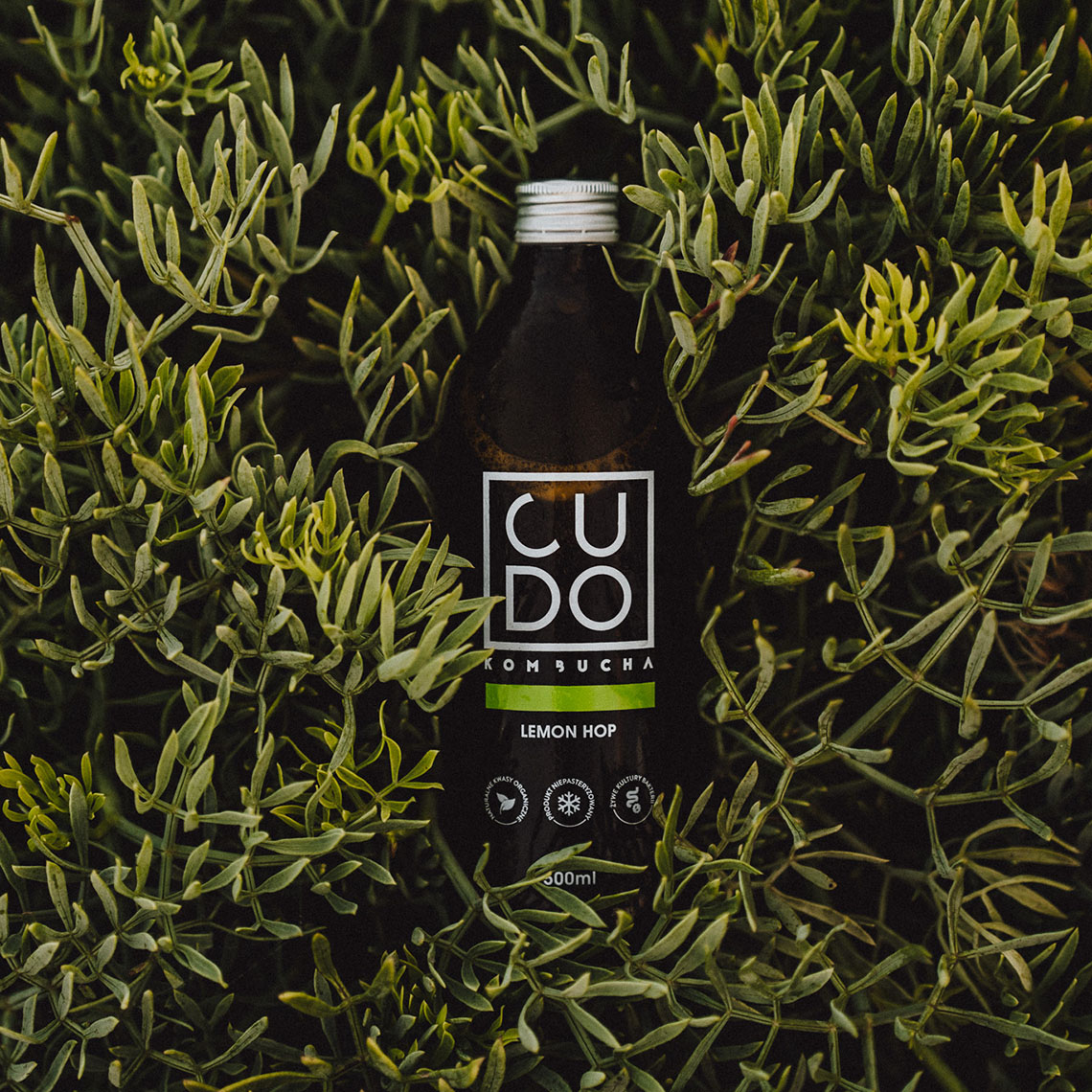 CUDO Kombucha